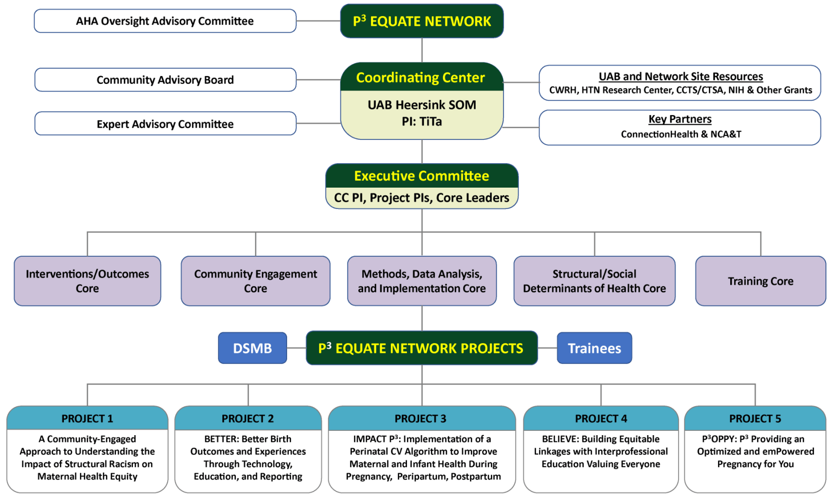 Partner Network Structure